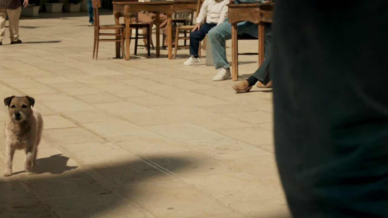 Stolen Girl 2025 1080p WEB 10bit X265 HEVC DD5 1-scOrp