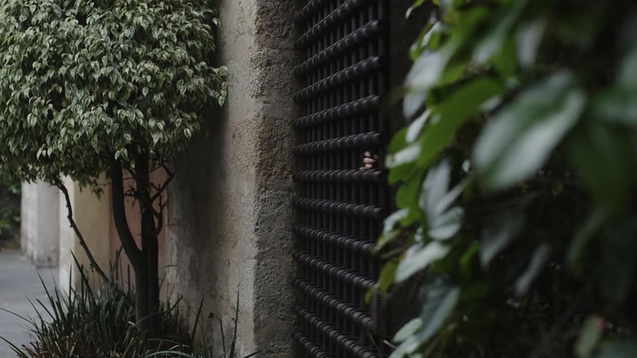 Dreams 2025 1080p WEB-DL HEVC x265 5.1 BONE