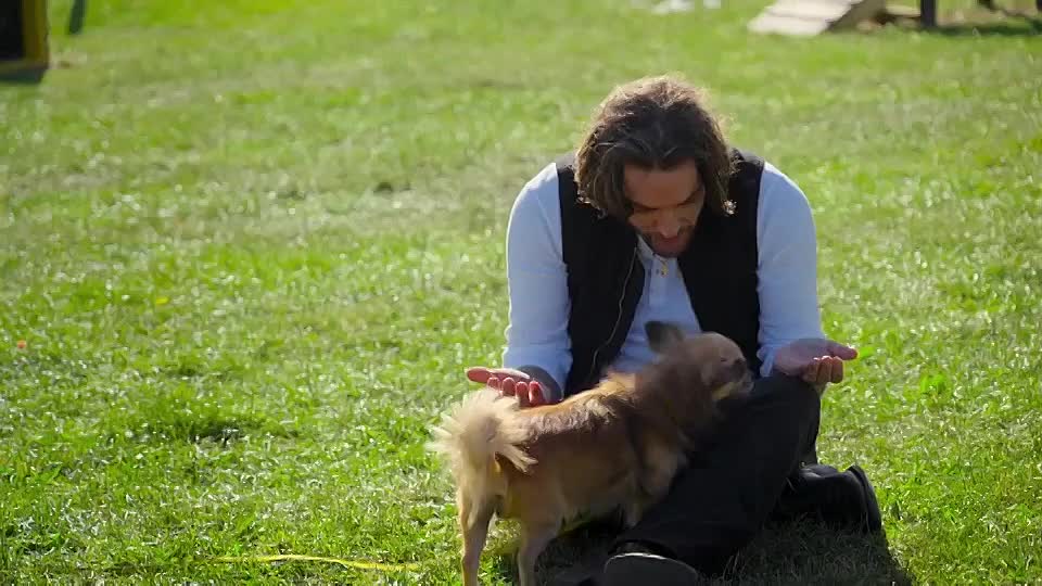⁣Pete Wicks For Dogs Sake S03E01 Coco Sapphire and the Cheese Chis