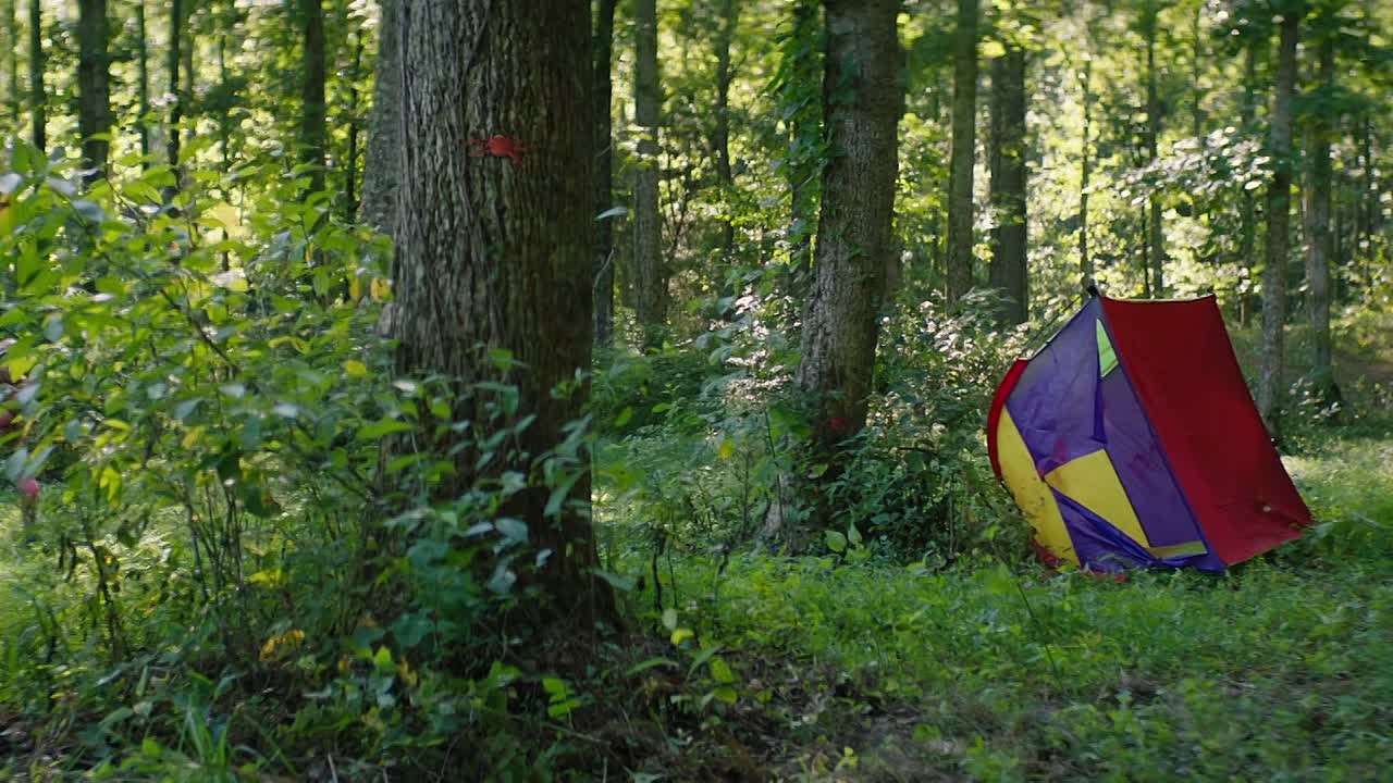 Sketch 2024 1080p WEB-DL HEVC x265 5.1 BONE