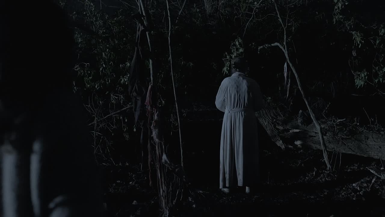 Bambi The Reckoning 2025 1080p AMZN WEB-DL H264-jklink1