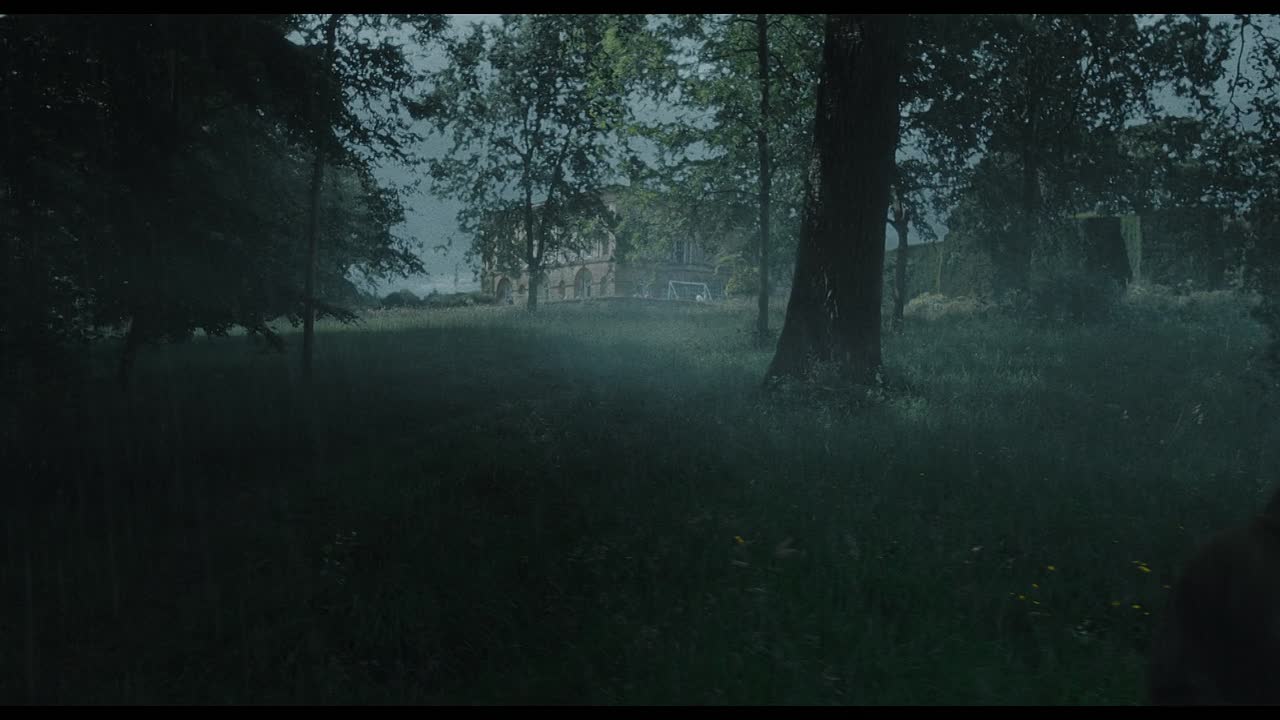 Steve 2025 MULTi 1080p WEB x264-SUPPLY