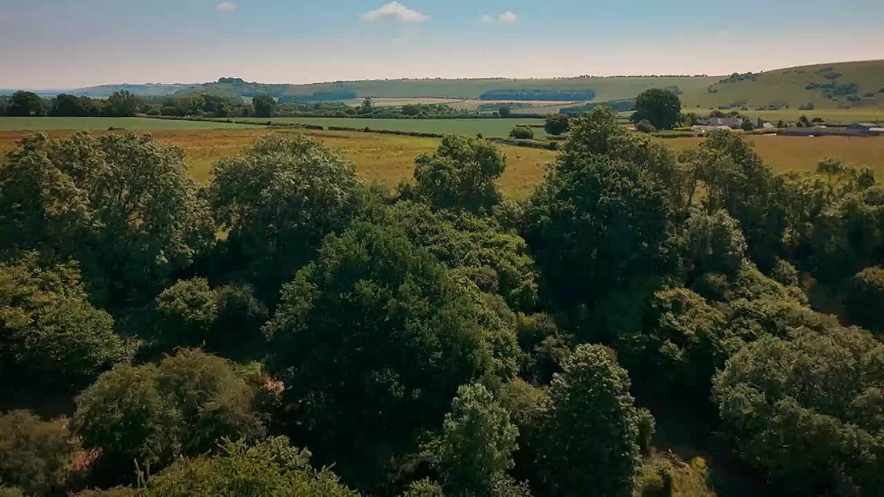 James Mays Shed Load Of Ideas S01E07 Hot Plate