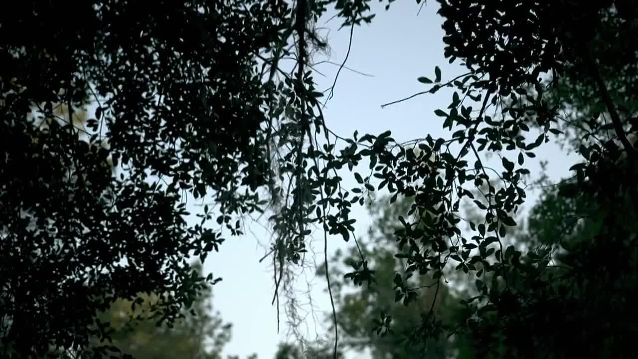 ⁣World's Most Dangerous Prisoners S03E05 -Gardner