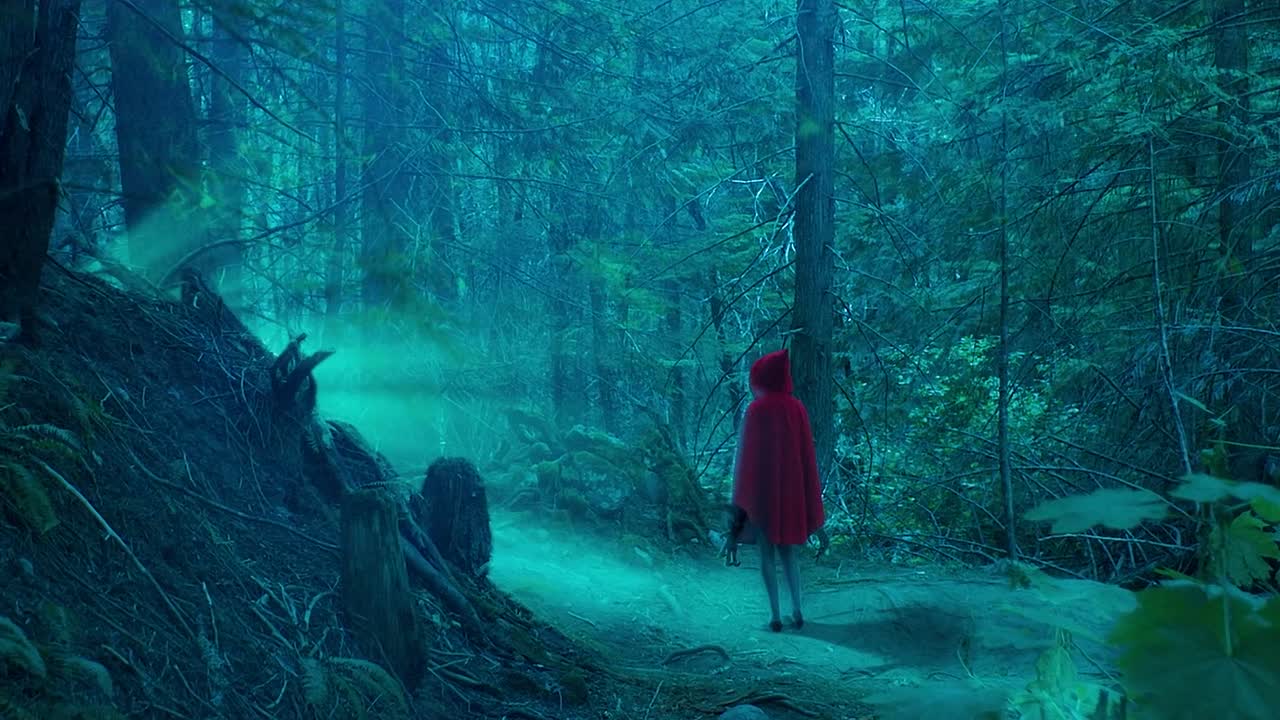 Kryptic 2024 1080p WEB HEVC x265-RMTeam 