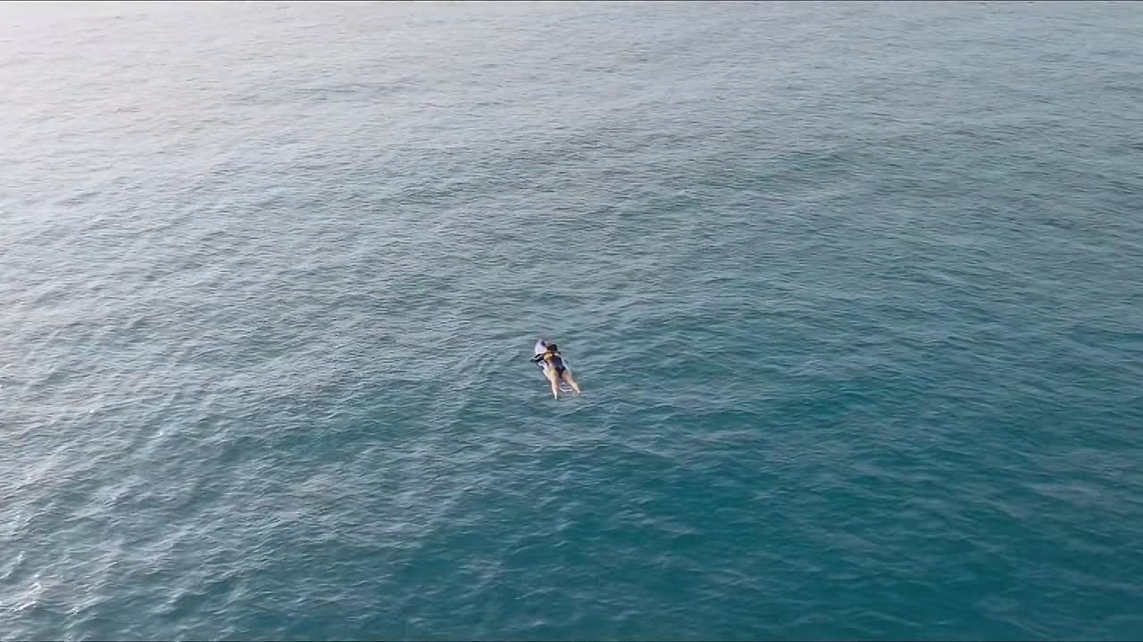 The Shallows 2025 1080p Chinese WEB-DL HEVC x265 BONE