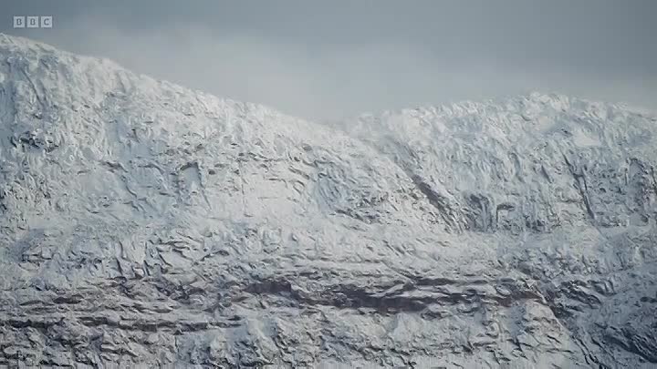 Global Eye S2026E01 -The Greenlanders Fighting to Get Their Children Back