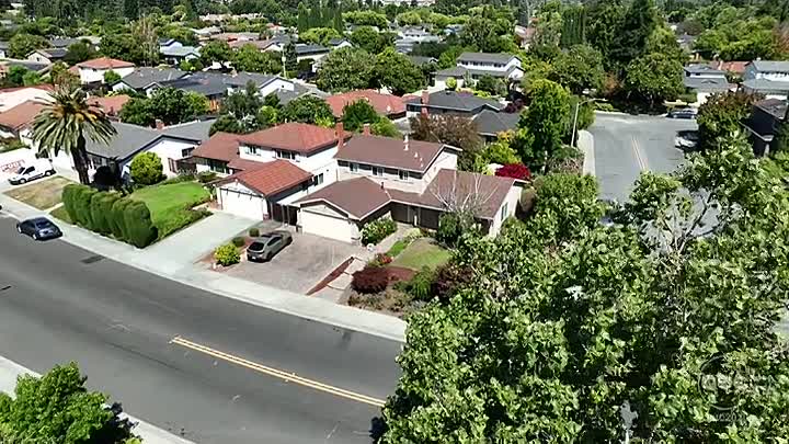 20/20 -Badass Detective