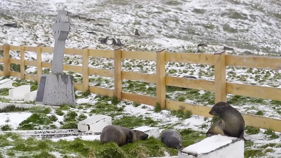 Jane McDonald Pole to Pole S01E02 (Jan 9 2026)