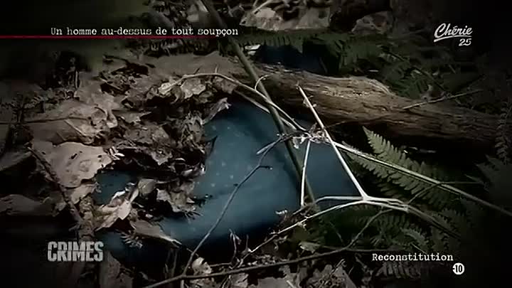 ⁣CRIMES -Nuit d'horreur au château, Au-dessus de tout soupçon