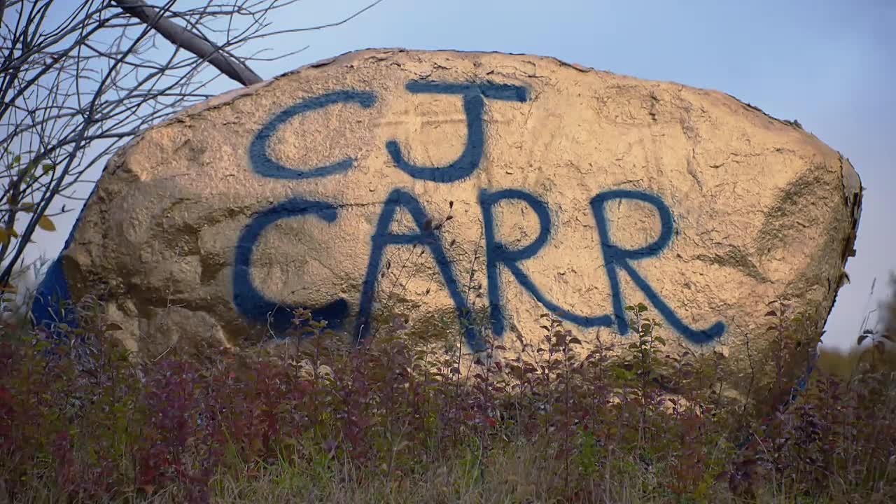 Here Come The Irish S02E06