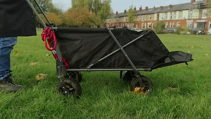 Panorama e01 2026 01 12 Why Are Pets Bills So High HDTV H264-RBB