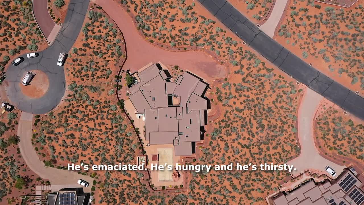 The Curious Case Of S01E05 -Jodi HildeBrndt