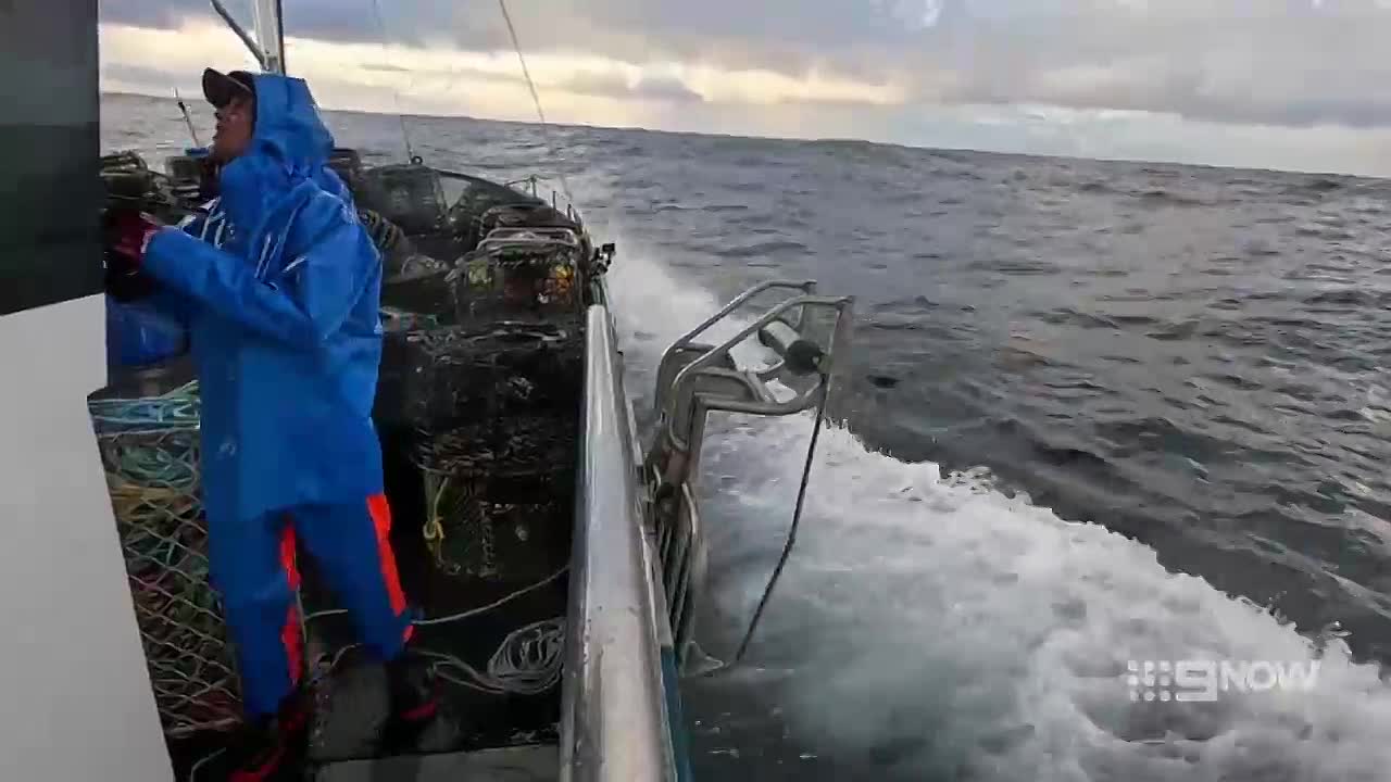 ⁣Aussie Lobster Men S05E02