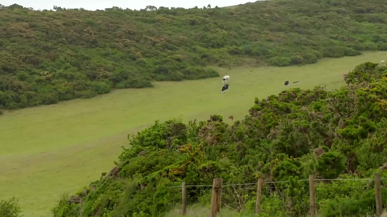 Four In A Bed S31E03 720p WEB H264-JFF