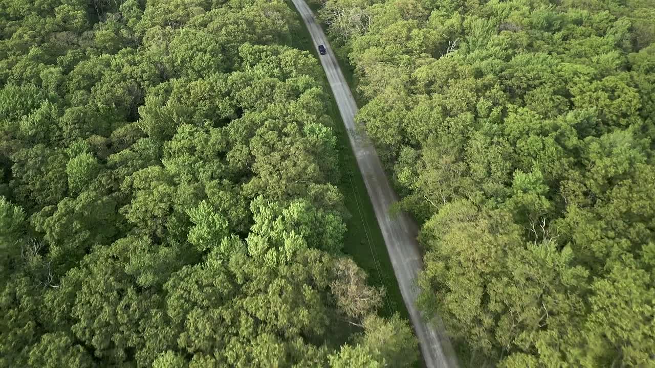 ⁣Expedition X S11E08 Thunderbird 1080p AMZN WEB-DL DDP2 0 H 264-RAWR