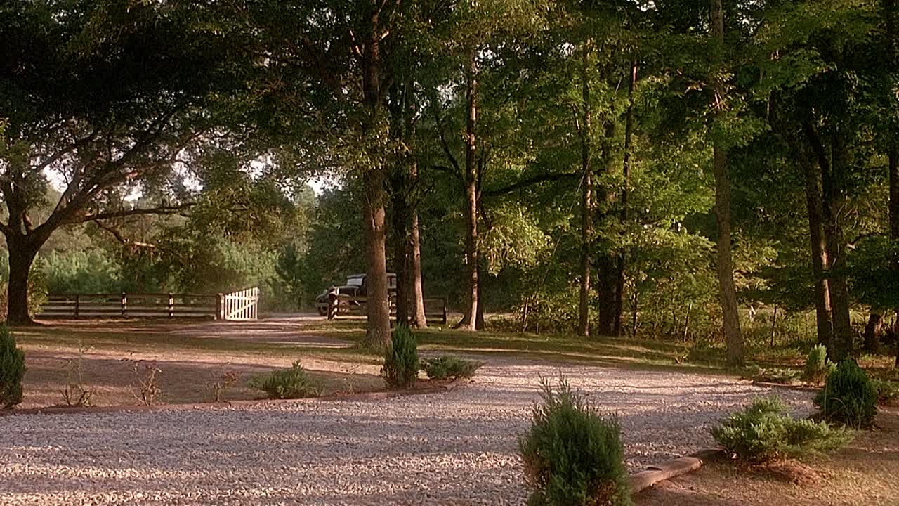 ⁣Rambling Rose 1991 1080p BluRay x264 AAC-