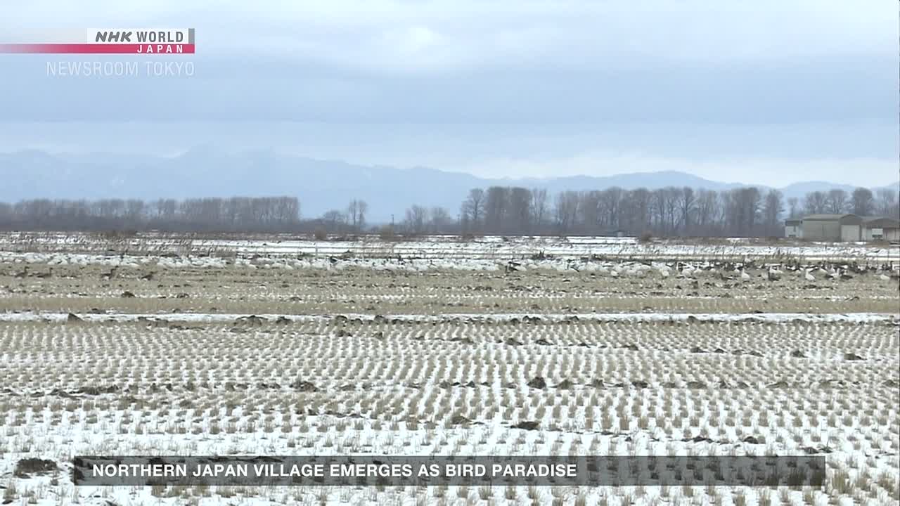 ⁣Newsroom Tokyo 2026 02 26 1080p HDTV H264-DARKFLiX