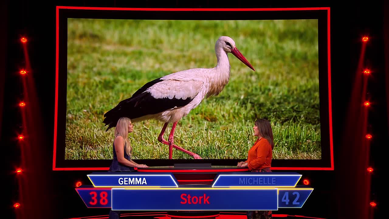 The Floor UK S01E07 1080p ITV WEB-DL AAC2 0 H 264-HiNGS - DoodStream