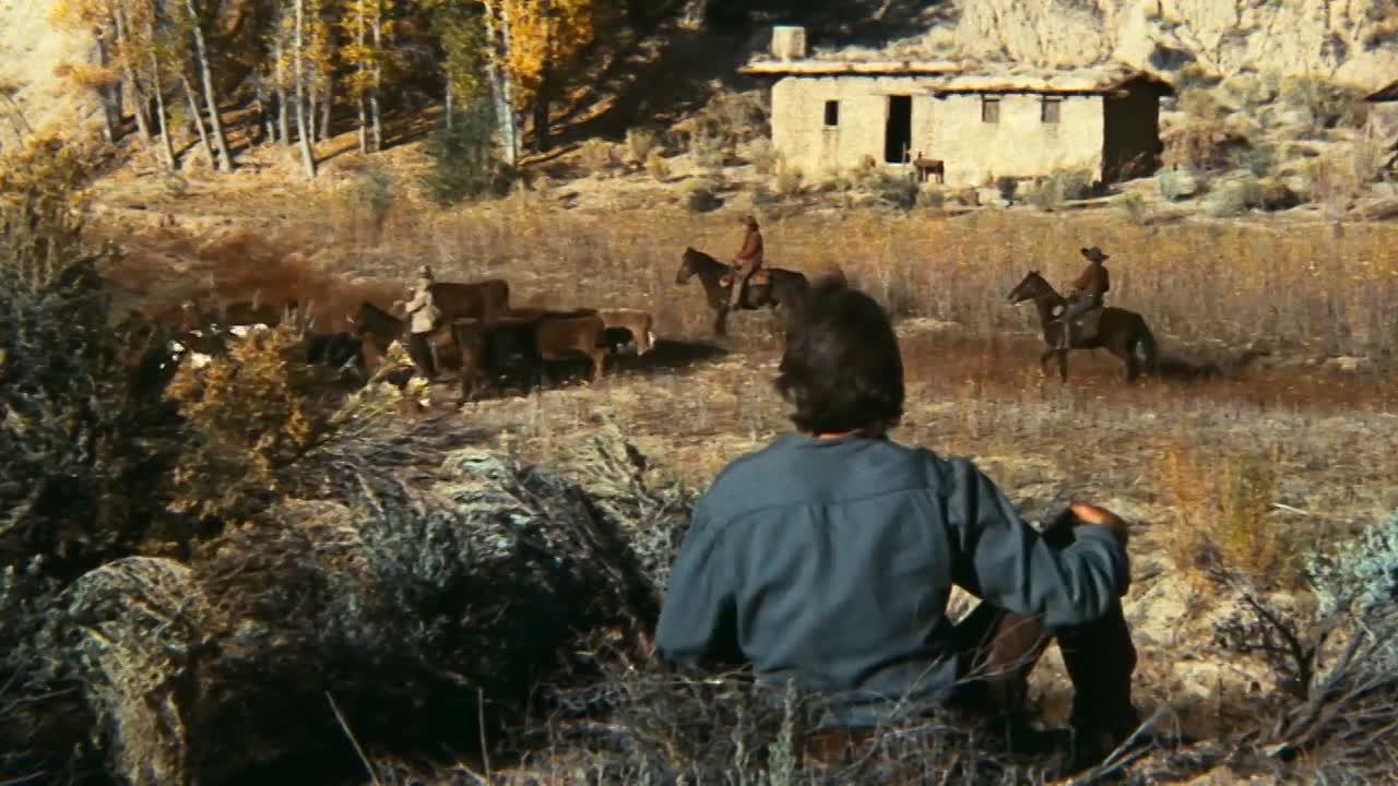 ⁣The Outlaw Josey Wales 1976 1080p BluRay x264-[YTS AG]