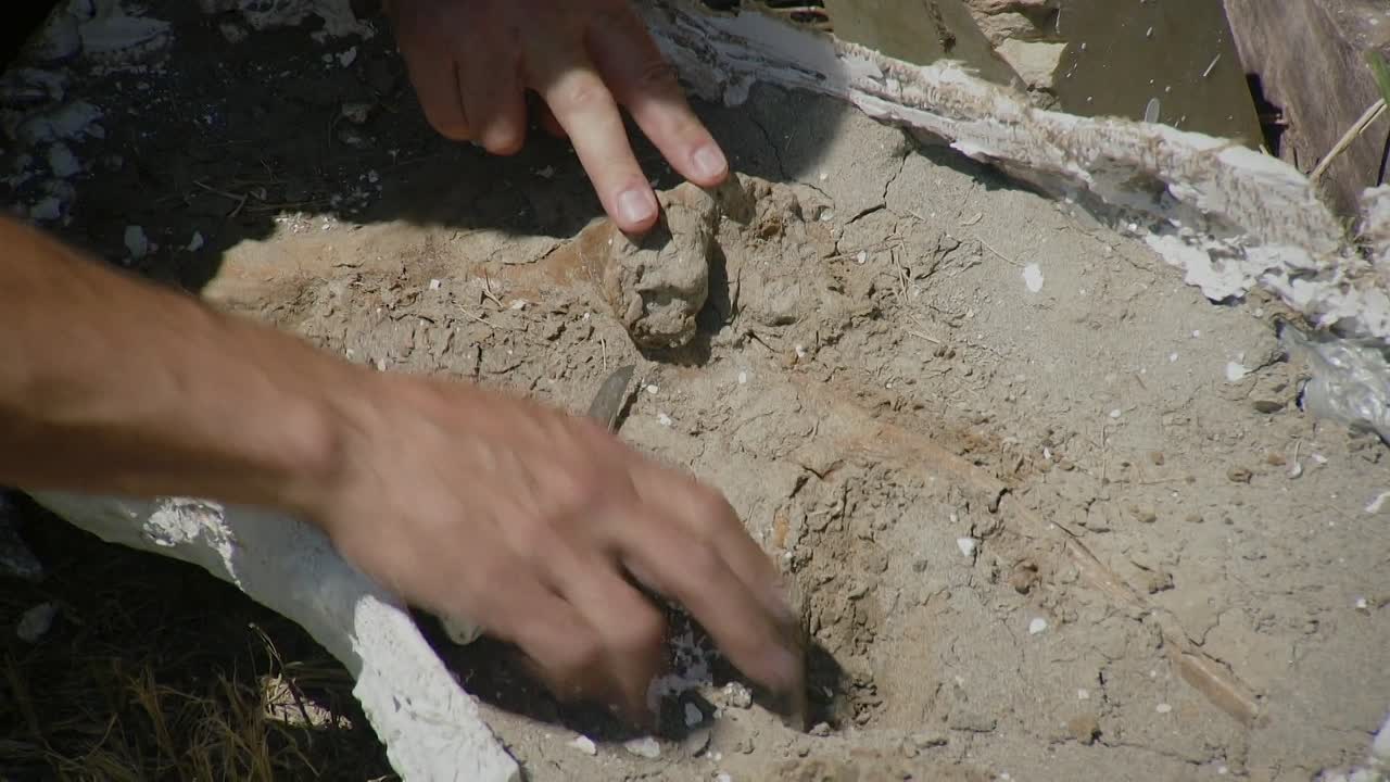 American Pickers S27E13 1080p WEB h264-EDITH - DoodStream