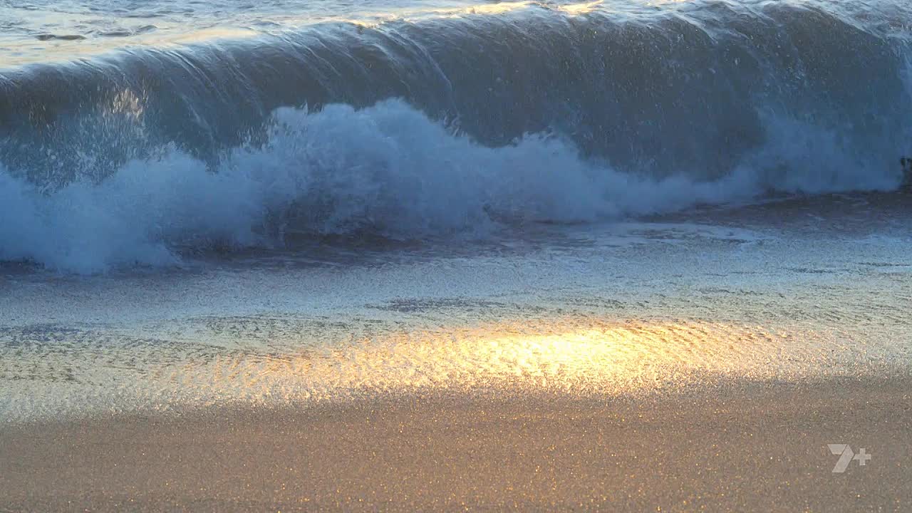 Home And Away S39E025 720p WEB-DL AAC2 0 H 264-WH - DoodStream