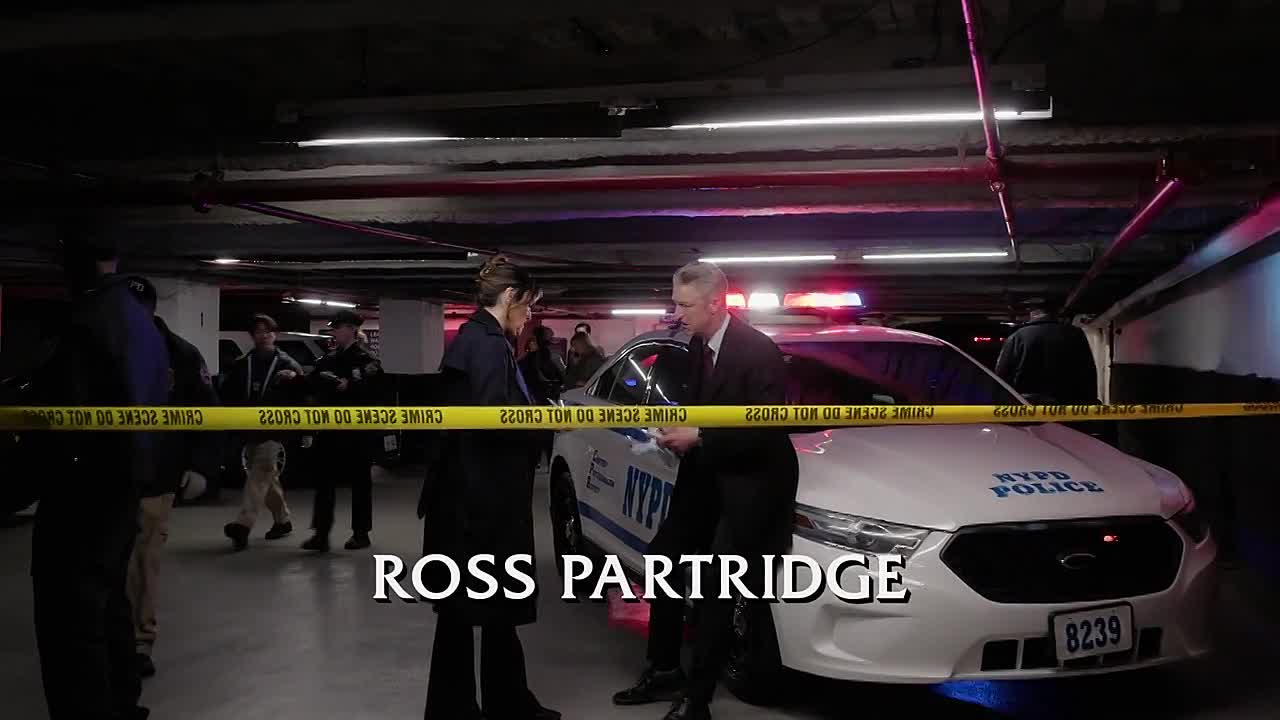 Law and Order SVU S27E13 720p x264-FENiX