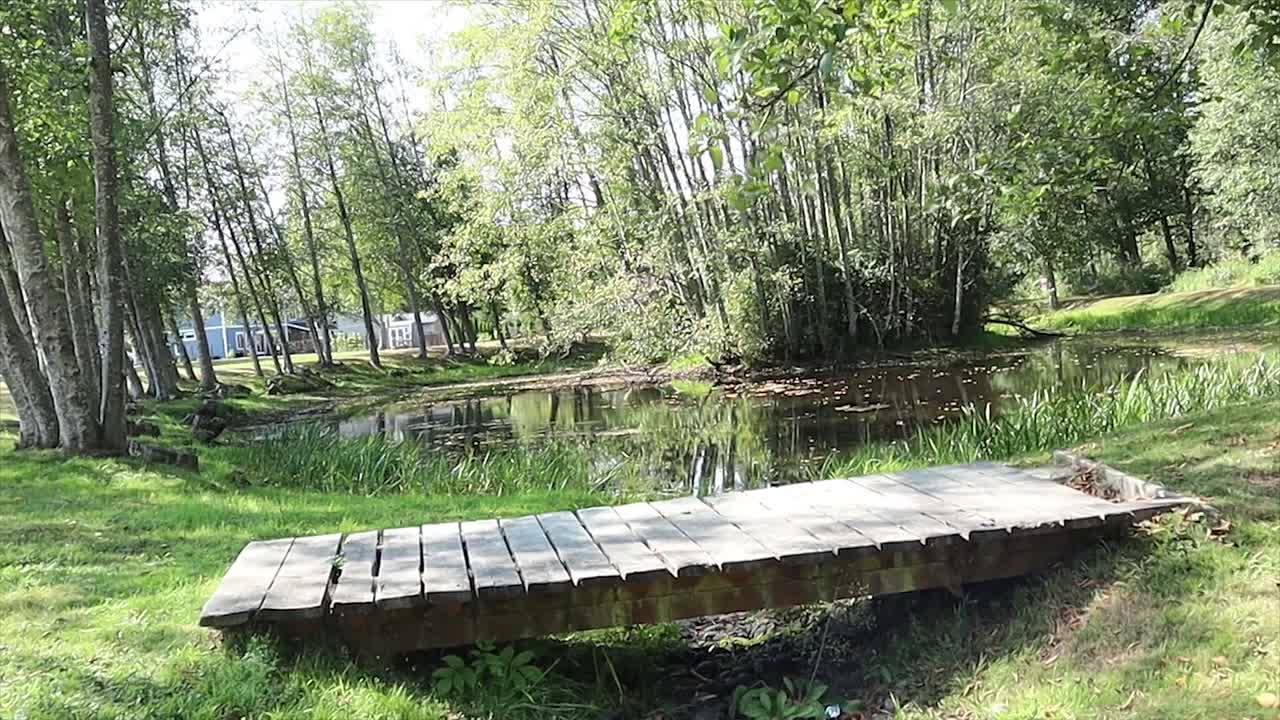 Gore (2026) 1080p WEBRip-LAMA