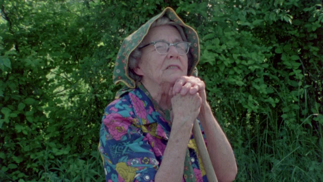 Sprout Wings and Fly 1983 1080p BluRay x264-MiSERABLE