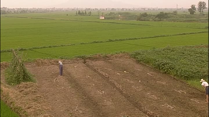 Horror In The East Japan In WWII 1of2 x264 AC3 MVGroup org