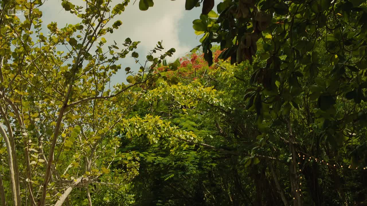 Death in Paradise S15E05 1080p iP WEB-DL AAC2 0 H 264-RAWR