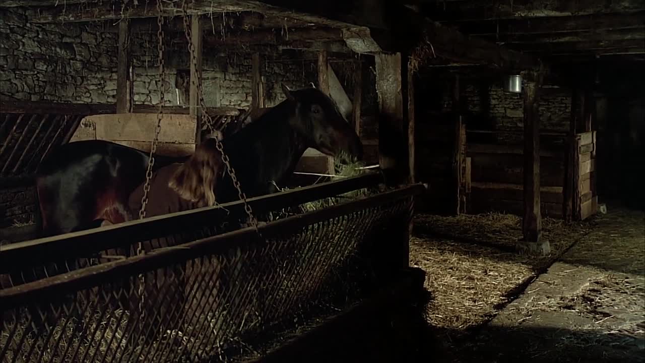 ⁣Black Moon (1975) Ed Criterion 100m