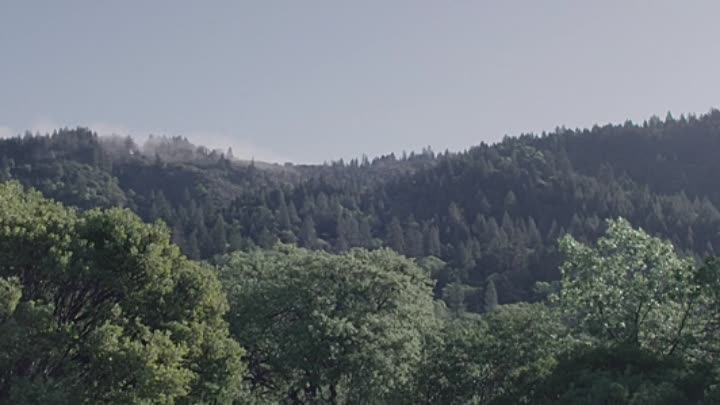 ⁣Murder Bury Win 2021 HDRip XviD AC3-EVO