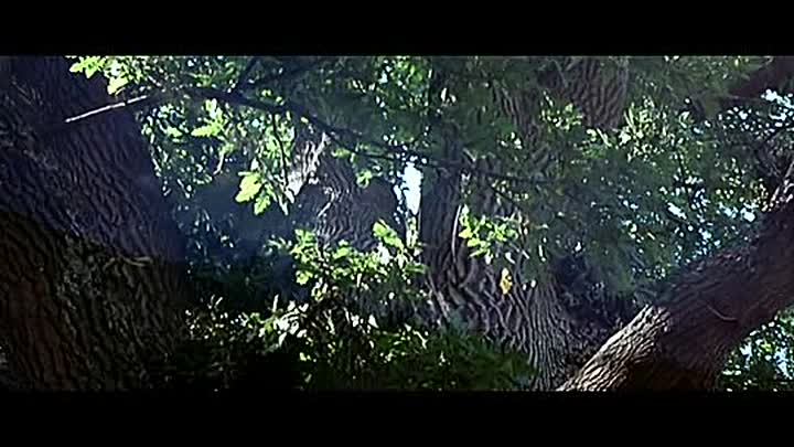 Vercingetorix French Dvdrip DivX