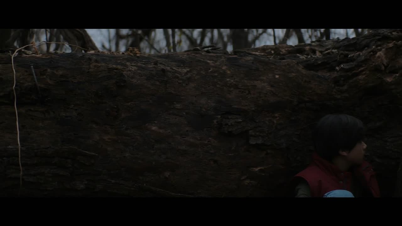 ⁣Wild Indian 2021 1080p HDRip x264 AAC