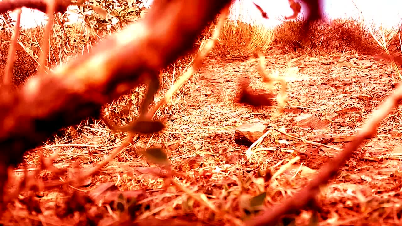 ⁣Nemesis 5 The New Model 2017 1080p WEBRip x264-[YTS AM]