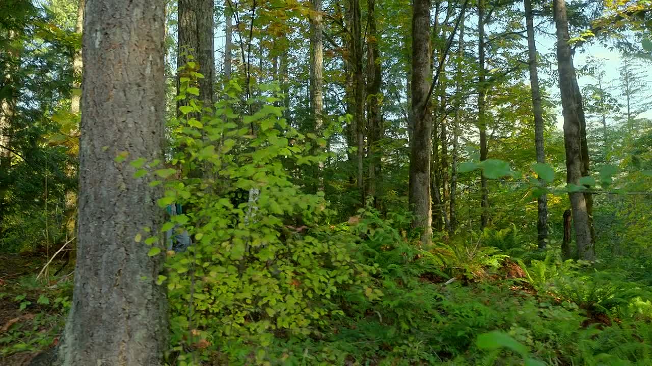 ⁣One Mile 1 2026 1080p WEBRip x264 AAC5 1-[YTS BZ]