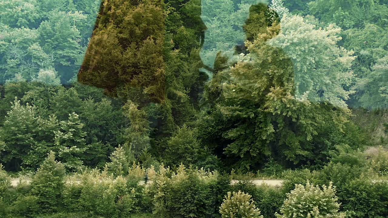 ⁣The Butterflys Dream 1080p WEBRip x264 AAC5 1 -TR -ENG -YTS MX