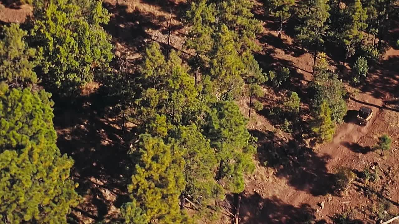 Lookout 2025 1080p BluRay HEVC x265 5