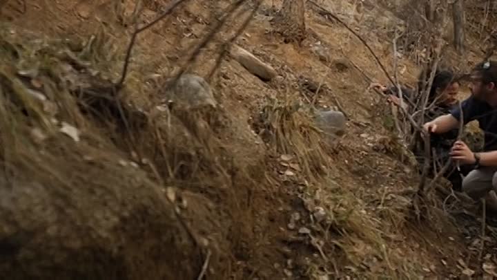 Ape vs Monster 2021 HDRip XviD AC3-EVO