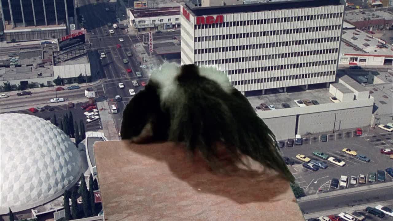 ⁣No Deposit No Return 1976 720p WEBRip x264 AAC-[YTS BZ]