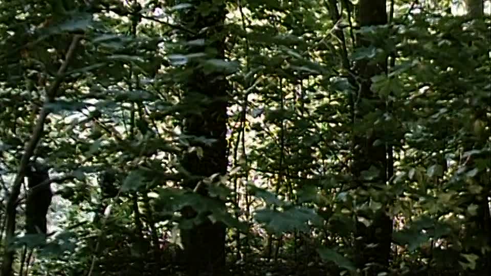 ⁣Sky Bandits 1986 720p WEBRip x264 AAC-[YTS BZ]