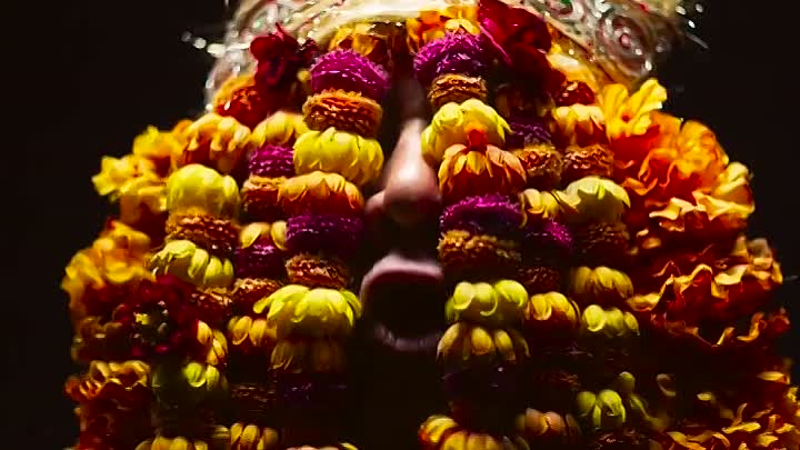 Mogul Mowgli 2020 HDRip XviD AC3-EVO