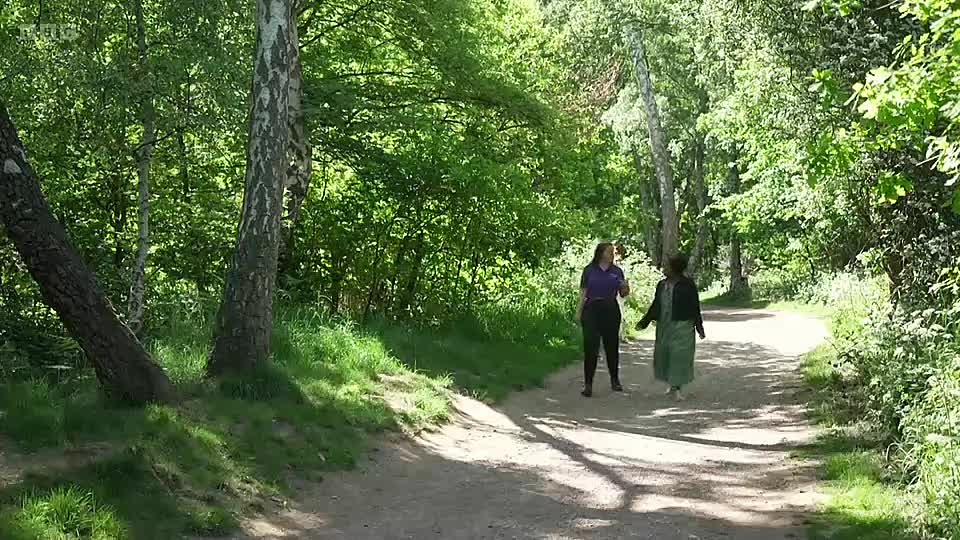 Escape to the Country S26E28 HDTV x264-NGP