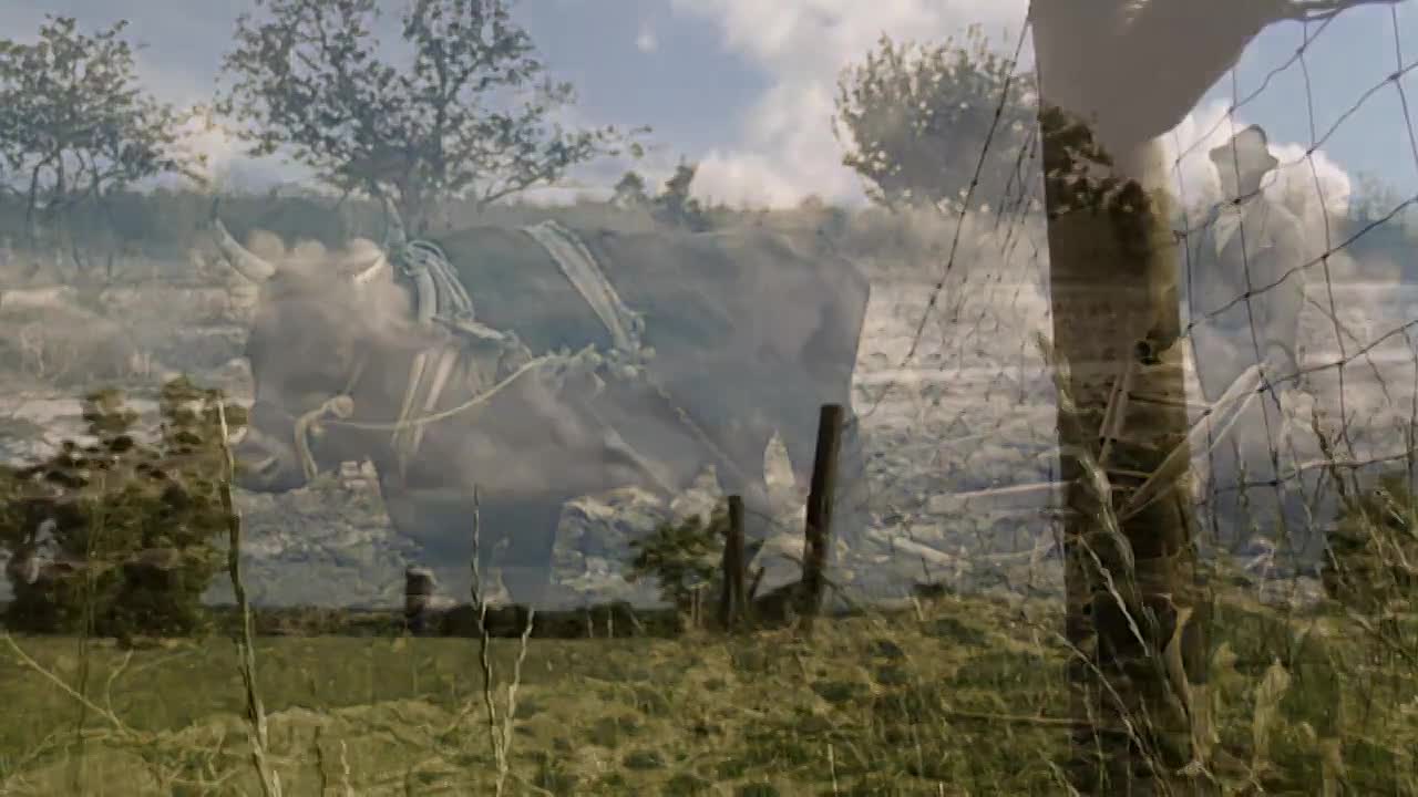 Finding Your Roots S12E05 WEB x264-NGP