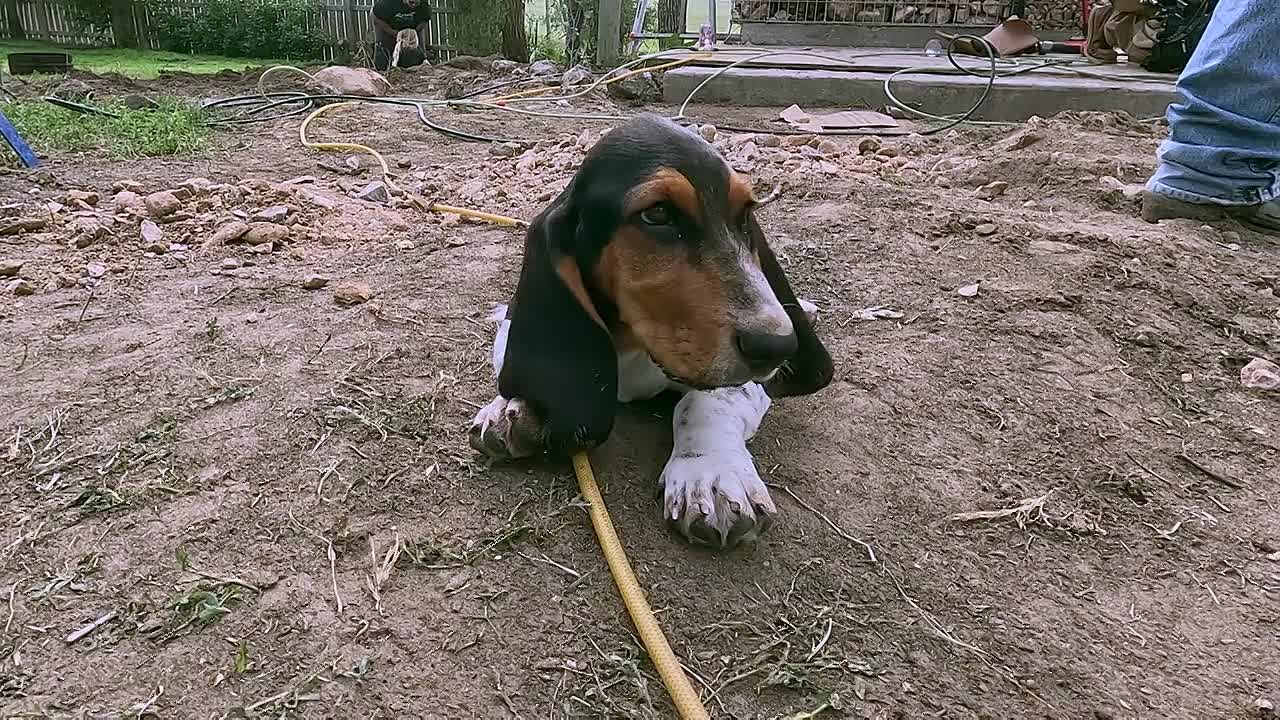 Building Outside the Lines S03E05 720p WEB H264-JFF