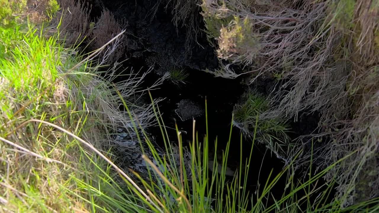 Landscape Artist Of The Year S11E04 SKddaw Mountain 720p NOW WEB-DL DDP5 1 H