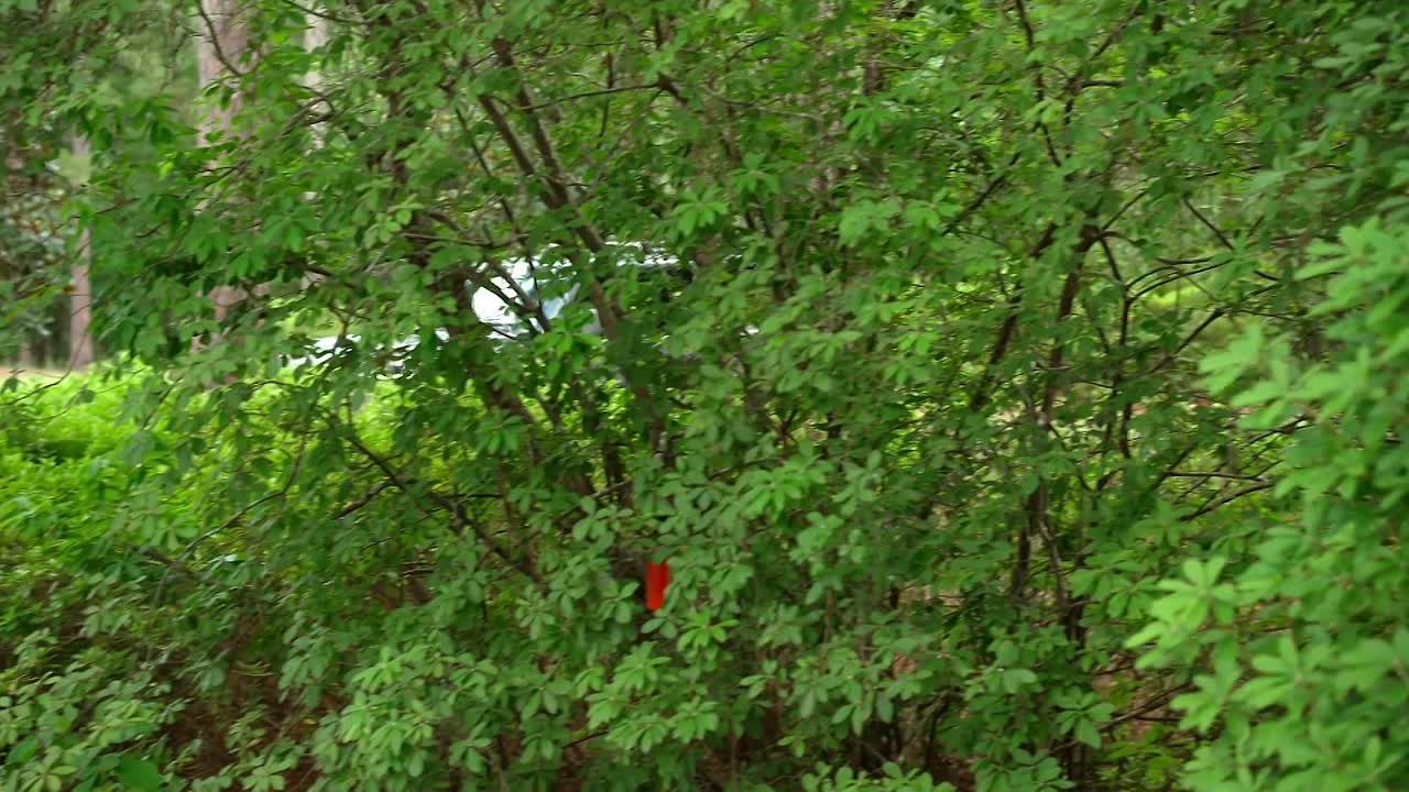 ⁣Southern Charm S11E10 1080p WEB h264-EDITH