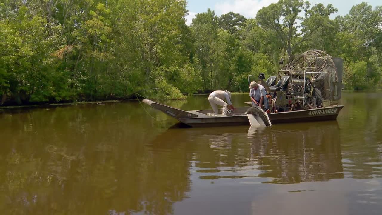 Swamp People S17E05 720p HEVC x265-MeGusta