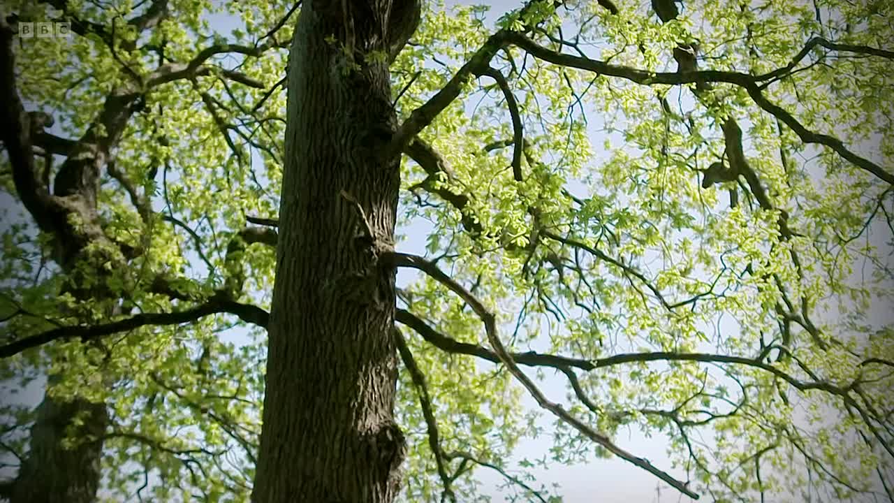 ⁣Homes Under the Hammer S28E64 1080p WEB-DL AAC2 0 H 264-W45Ps